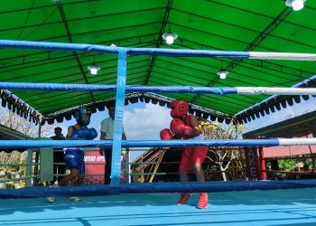 Medali Porprov: Tinju Bali Tingkatkan Kemampuan di Kejuaraan Nasional