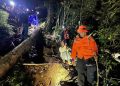 Penyelamatan Ibu dan Anak di Gunung Batukaru Setelah Tersesat