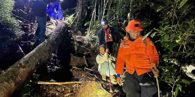 Penyelamatan Ibu dan Anak di Gunung Batukaru Setelah Tersesat