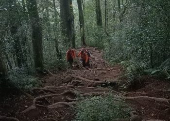 Empat Pendaki Tersesat di Gunung Batukaru Akhirnya Dievakuasi dengan Selamat
