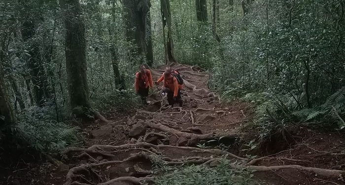 Empat Pendaki Tersesat di Gunung Batukaru Akhirnya Dievakuasi dengan Selamat
