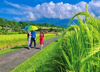 Festival VI Desa Jatiluwih Mengangkat Tema Pertumbuhan Bersama Alam