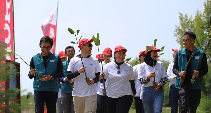 Gerakan Menghijau Karawang: Puluhan Ribu Mangrove Ditanam untuk Masa Depan Bumi