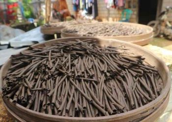 Konsumsi Makanan Tanah Liat dari Jawa Timur Aman atau Berisiko?