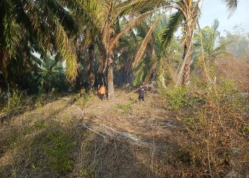 Bencana Poso dan Flores Timur Menewaskan Warga Menurut BNPB
