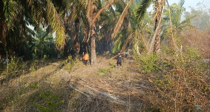 Bencana Poso dan Flores Timur Menewaskan Warga Menurut BNPB