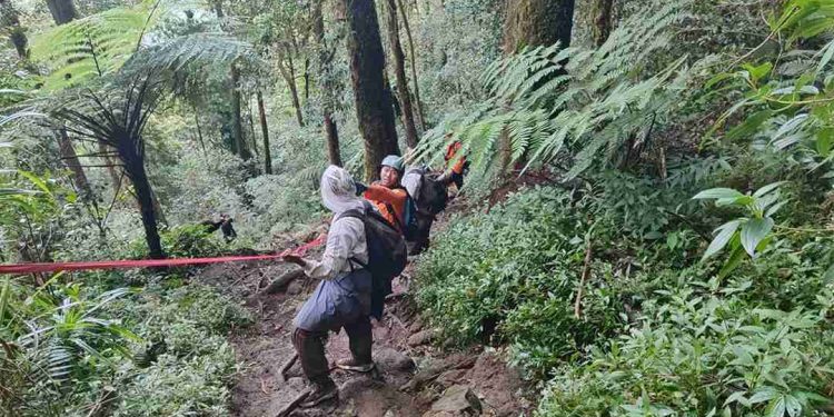 Kelelahan Ekstrem di Puncak Batukaru Evakuasi Lima Pendaki Remaja oleh Tim SAR