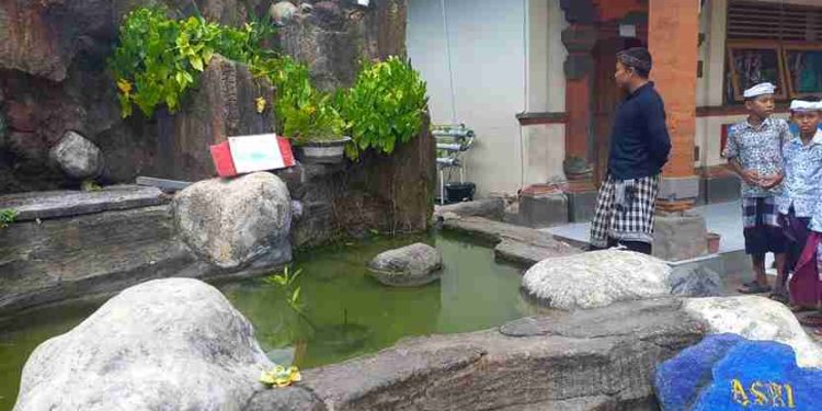 Ubah Air Hujan Jadi Solusi Konservasi SDN Besan Klungkung Menang Lomba Tirtanovasi