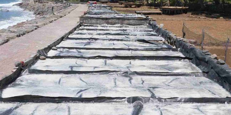 Kolaborasi Astra dengan Masyarakat Kampung Berseri Les Model Harmoni Alam dan Tradisi