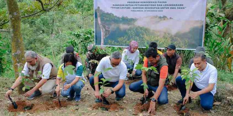 Gerakan Konservasi Owa Jawa oleh Yayasan AHM Bersama Warga Pekalongan