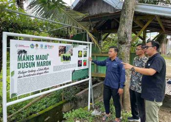 Sinergi untuk Negeri: 259 Tim Mahasiswa Wujudkan Harapan di SDGs Future Leaders 2025