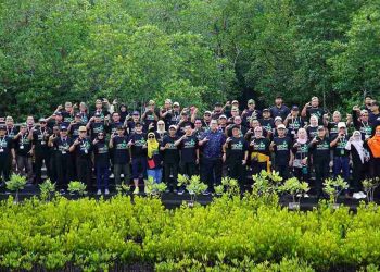 Aksi Keberlanjutan Lingkungan: Sorotan pada Mangrove Sebagai Sabuk Pengaman Pesisir