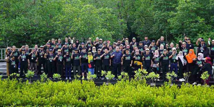 Aksi Keberlanjutan Lingkungan: Sorotan pada Mangrove Sebagai Sabuk Pengaman Pesisir