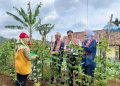 Ciamis Siap Jadi Destinasi Wisata Berkelanjutan Dorong Pengembangan Desa Jalatrang
