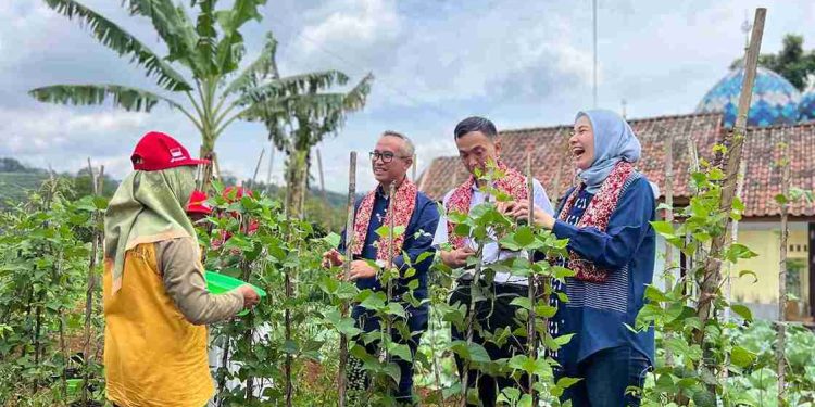 Ciamis Siap Jadi Destinasi Wisata Berkelanjutan Dorong Pengembangan Desa Jalatrang