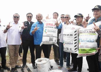 Subsidi Pupuk Perikanan untuk Meningkatkan Produktivitas Tambak di 2026