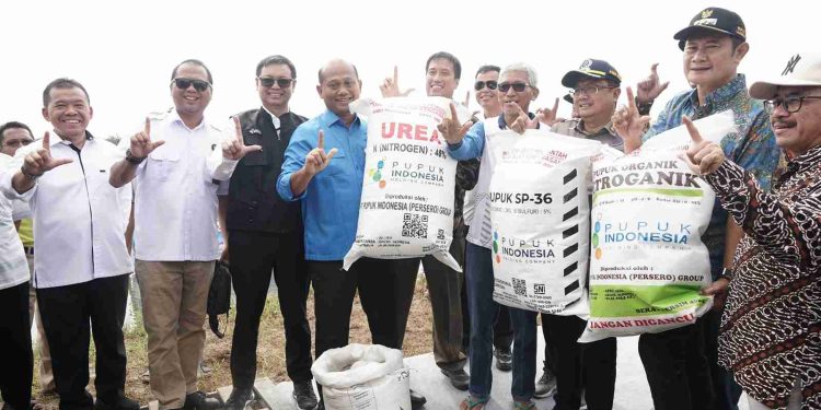 Subsidi Pupuk Perikanan untuk Meningkatkan Produktivitas Tambak di 2026