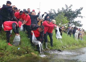 Hijaukan Kawasan Danau Buyan dalam HUT Megawati ke-79 oleh PDI Perjuangan