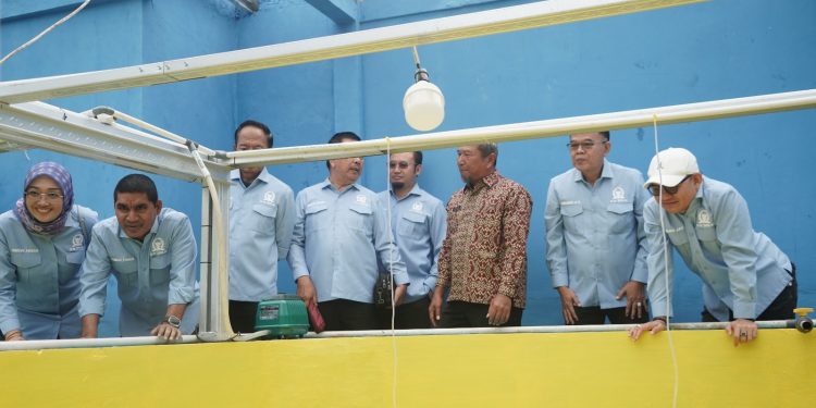 Perikanan Budi Daya Dipromosikan Komisi IV DPR sebagai Pilar Swasembada Pangan